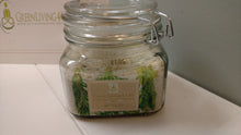 Load image into Gallery viewer, Uplift Bath Salts - GreenLiving4Life