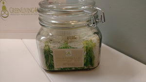 Uplift Bath Salts - GreenLiving4Life