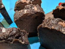 Load image into Gallery viewer, Holiday Hot Chocoalate Soap- Scented Hot Process - GreenLiving4Life