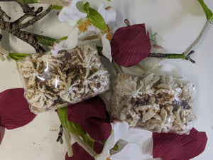 Floral Beauty Soap - GreenLiving4Life